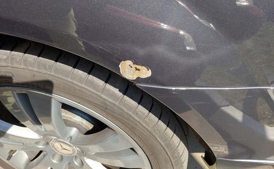 Как закрасить сколы и царапины на автомобиле своими руками